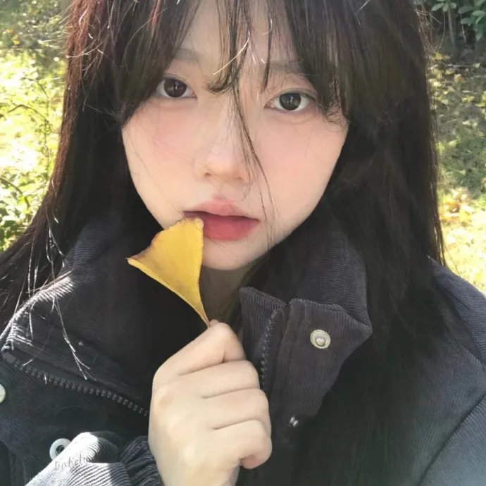 沉默的世界海报