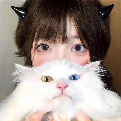 恋恋飞翔海报